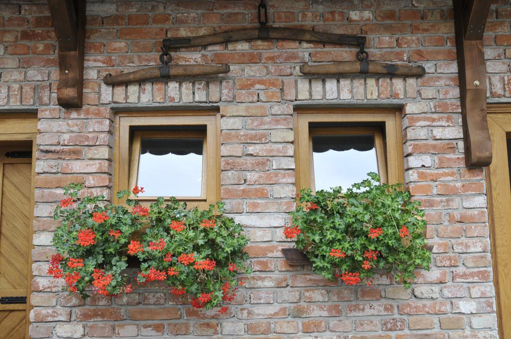Penzion Country House Tunjina Kuca Stara Kapela Pavlovci Exteriér fotografie
